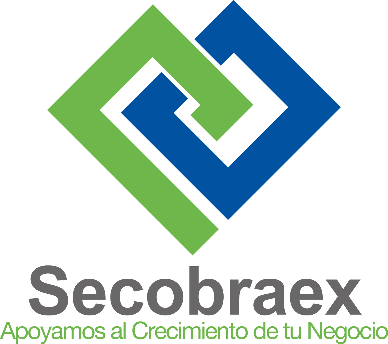 Secobraex S.A.
